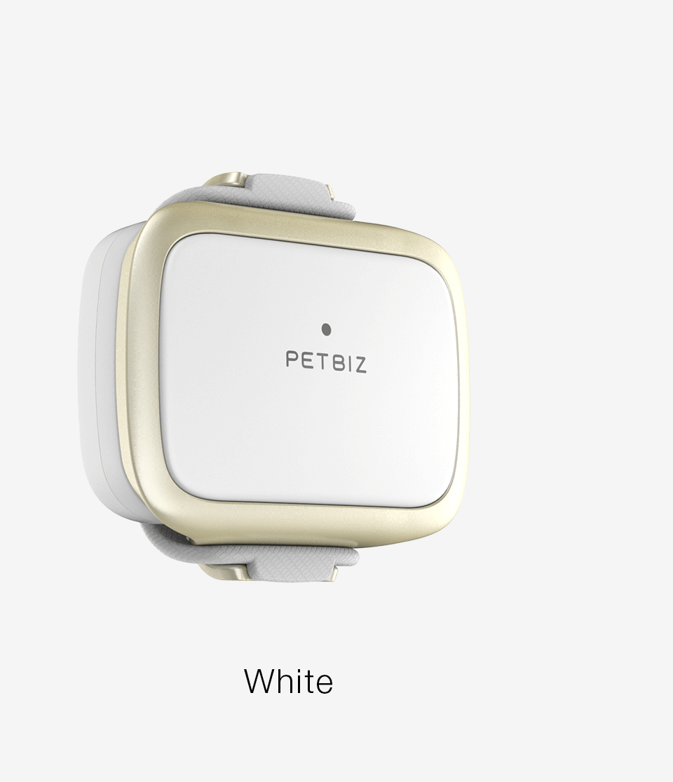 Xiaomi petbit dog sales tracker